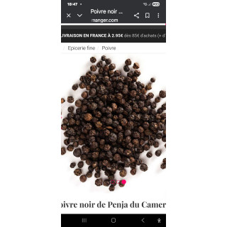 Poivre noir de PENDJA